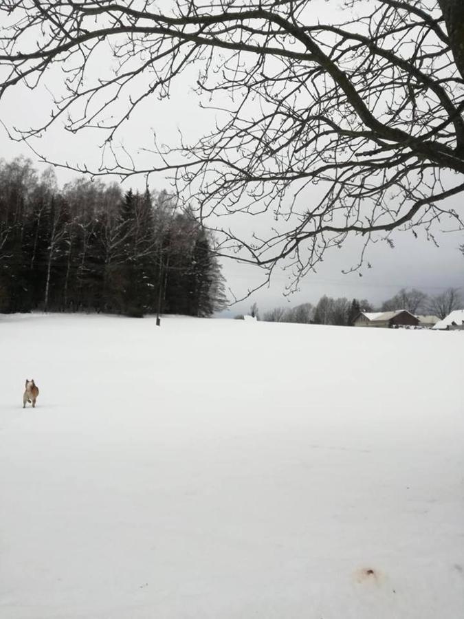 Chaloupka U Lisaka Villa Snezne  Exteriör bild