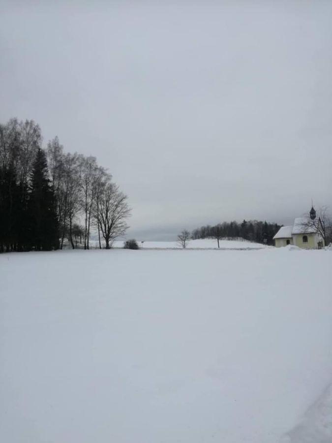 Chaloupka U Lisaka Villa Snezne  Exteriör bild