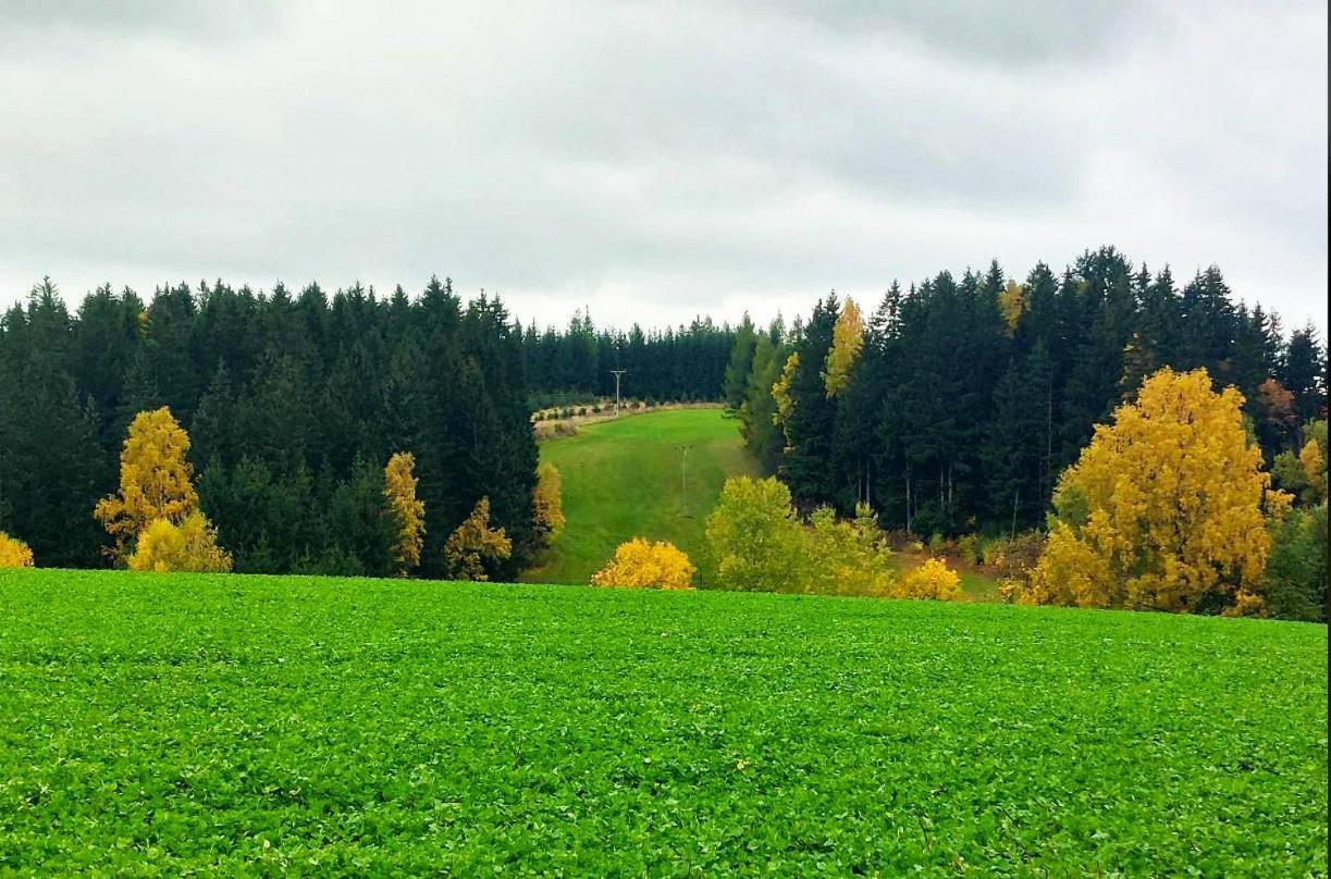 Chaloupka U Lisaka Villa Snezne  Exteriör bild