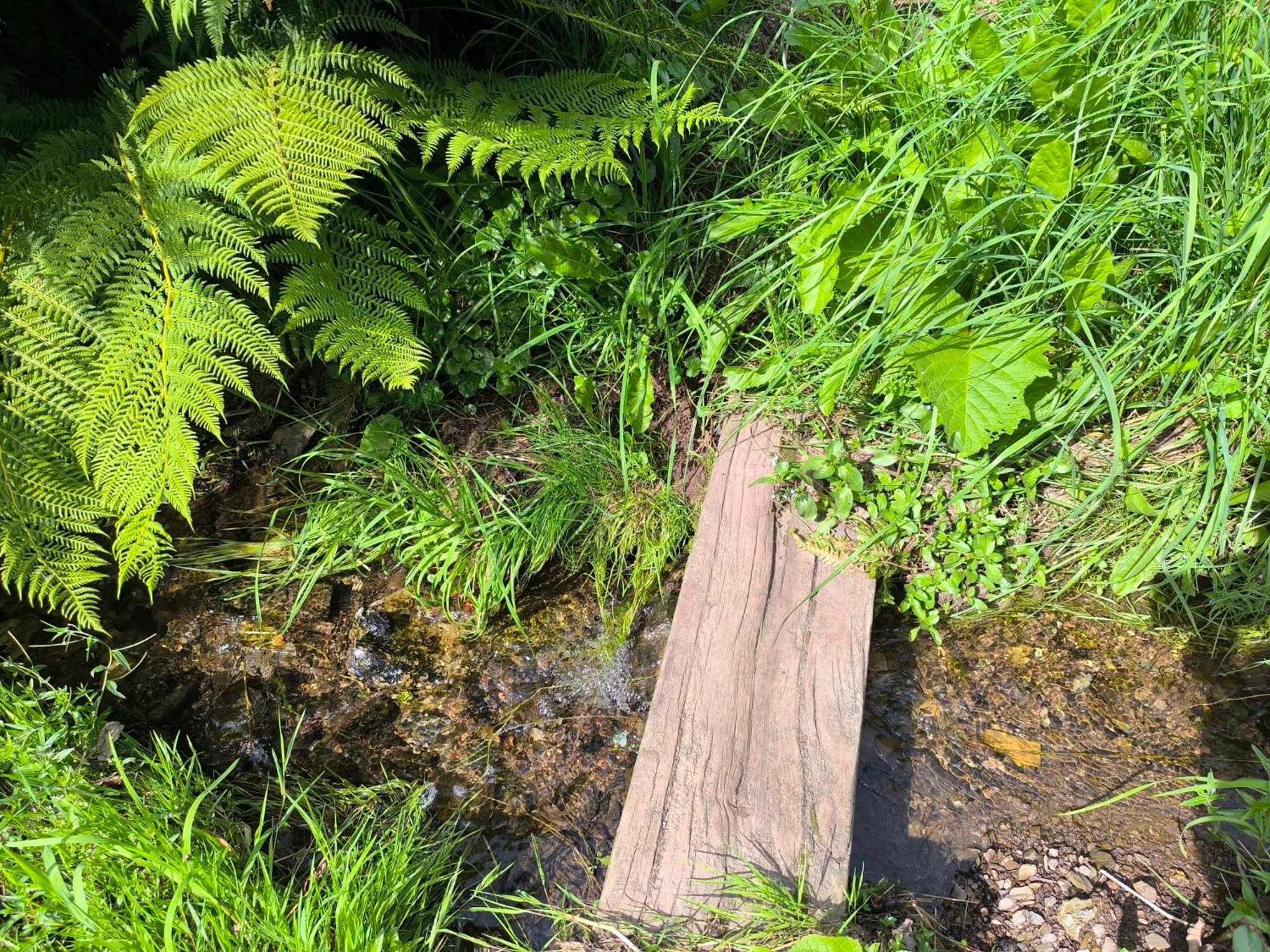 Chaloupka U Lisaka Villa Snezne  Exteriör bild